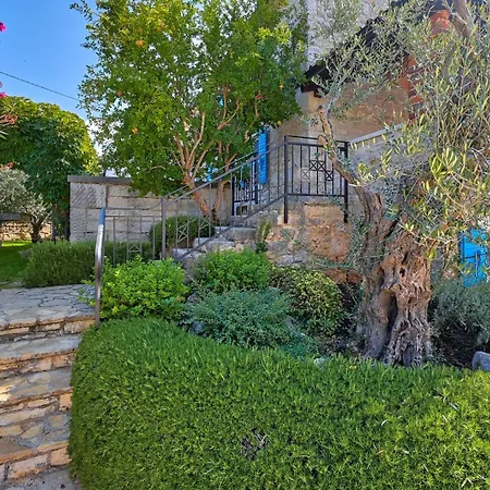 Simone With Private Pool *